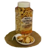 ko�en� - Hl�va �st�i�n� pl�tky