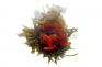 ko�en� - Rodinn� �t�st�