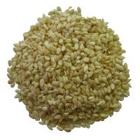 ko�en� - Sezam loupan�