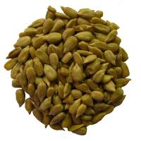 ko�en� - Slune�nice-sem�nko loupan�