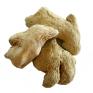 ko�en� - Z�zvor cel� loupan�
